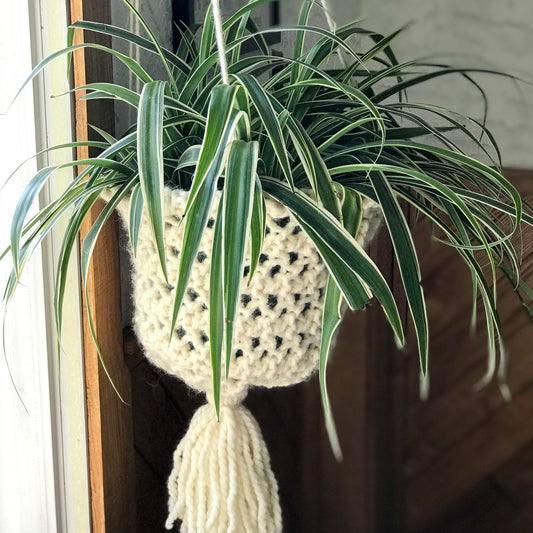 Hang In There Planter Knitting Pattern