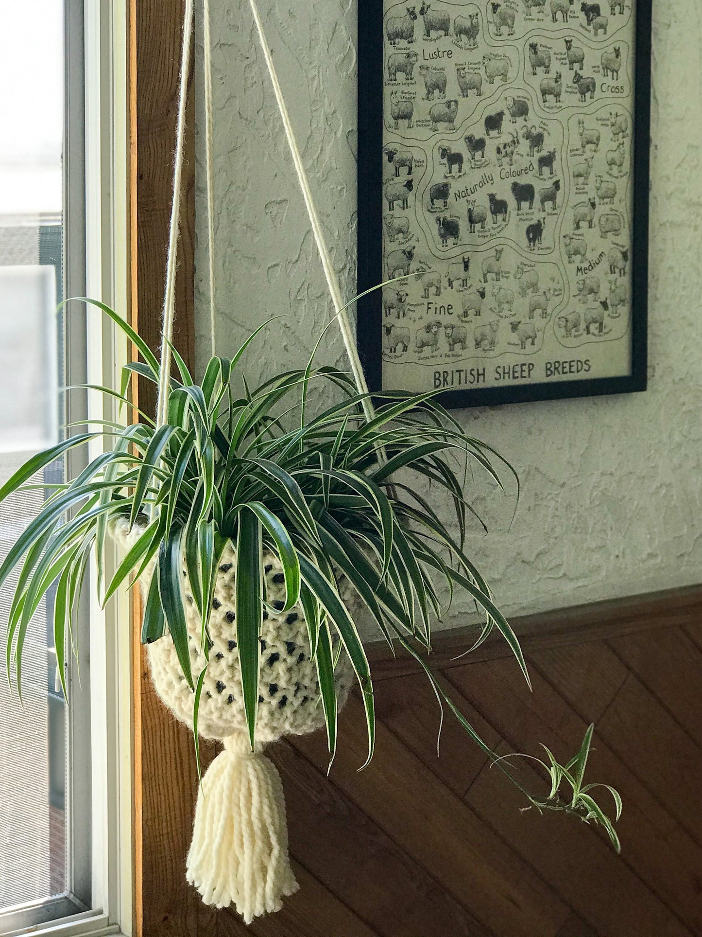 Hang In There Planter Knitting Pattern