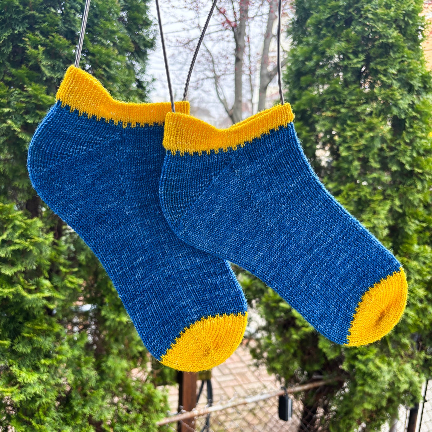 Knitted blue socks with yellow toes and cuffs hanging outdoors against a green tree background