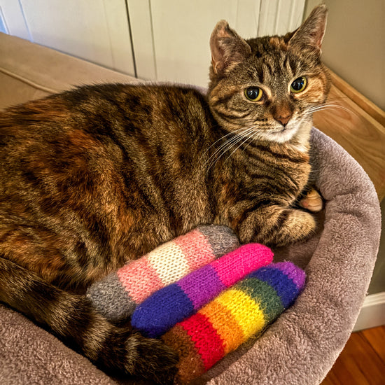 Cat sitting on a cat tree with a colorful striped toy