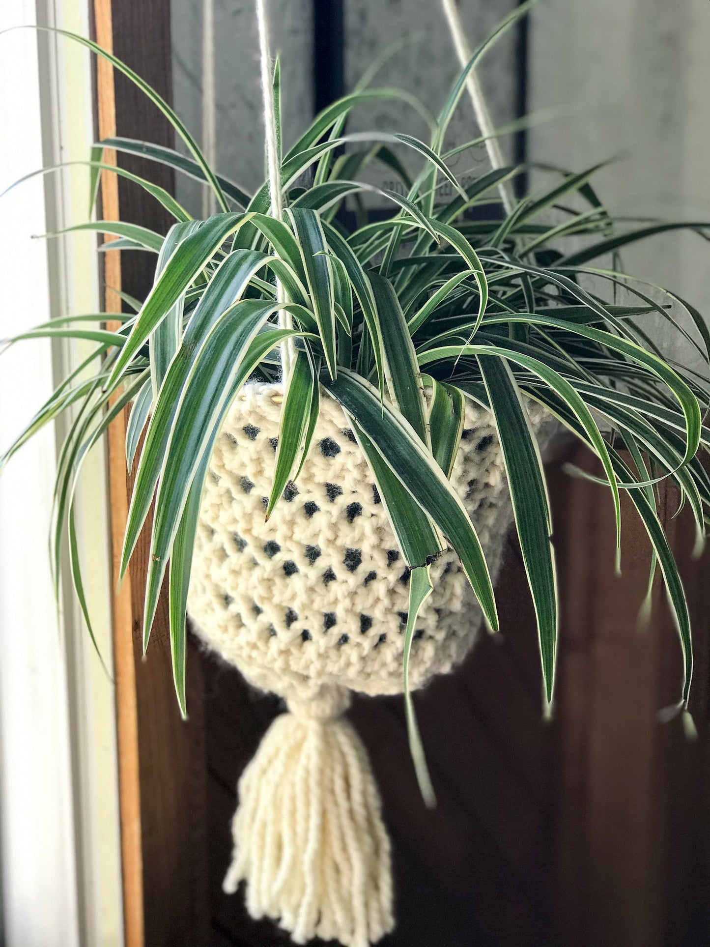 Hang In There Planter Knitting Pattern