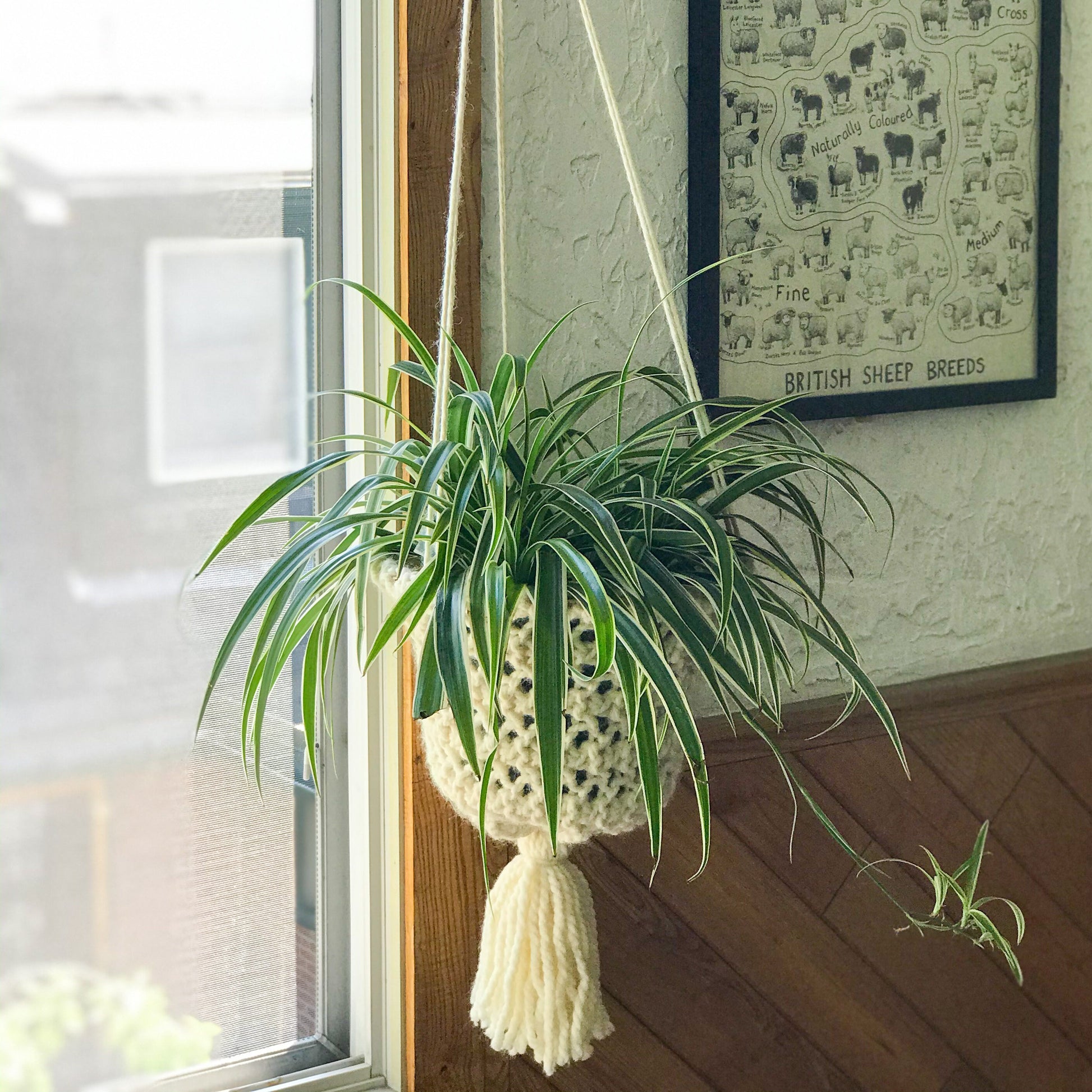 airplane plant hanging basket Free Hanging Planter Basket Knitting Pattern: Hang In There Basket – Juliette Pécaut Designs